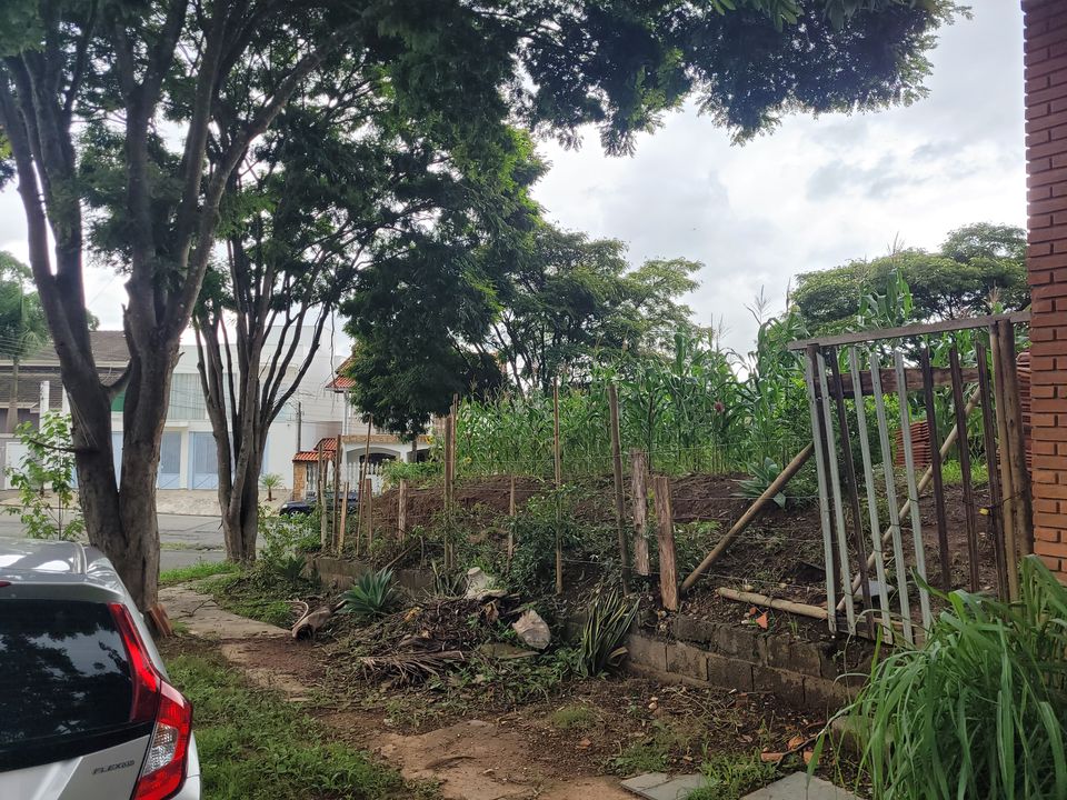 Foto - Caieiras - Nova Caieiras